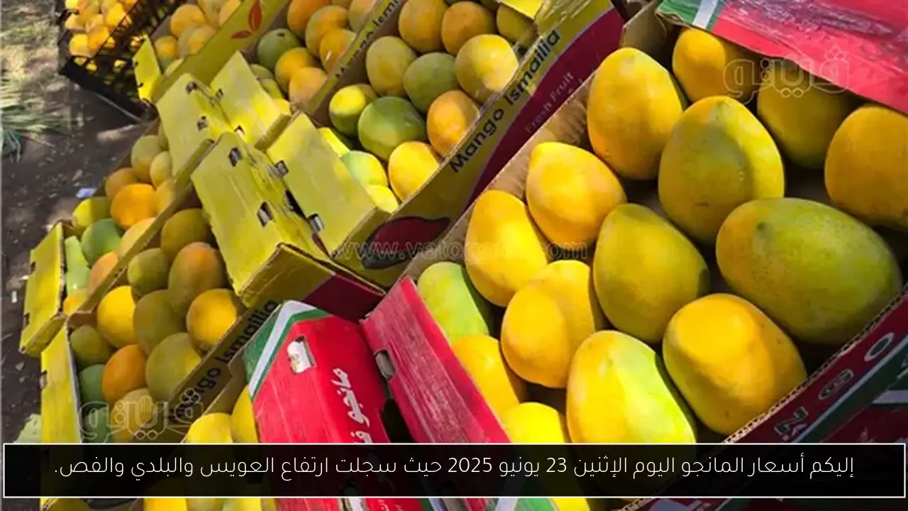 إليكم أسعار المانجو اليوم الإثنين 23 يونيو 2025 حيث سجلت ارتفاع العويس والبلدي والفص.