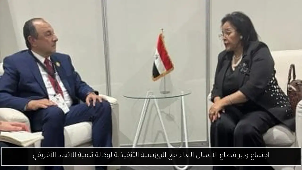 اجتماع وزير قطاع الأعمال العام مع الرئيسة التنفيذية لوكالة تنمية الاتحاد الأفريقي