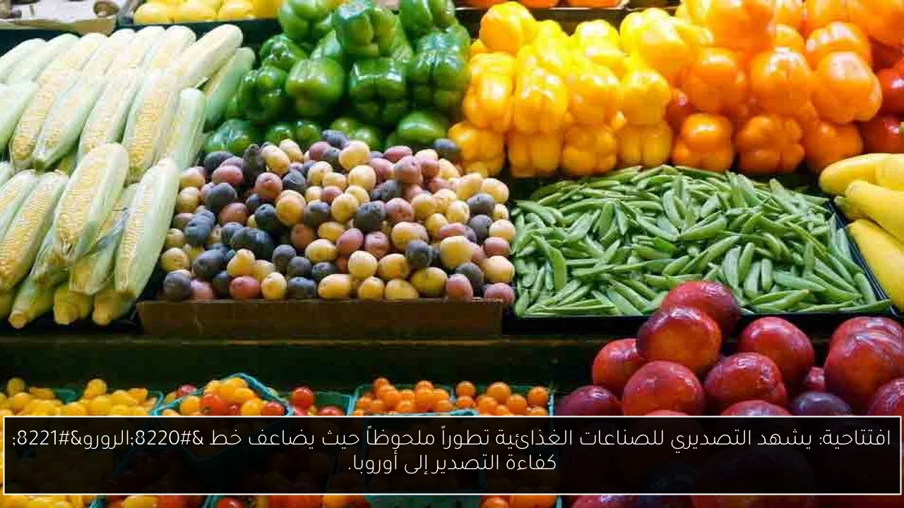 افتتاحية: يشهد التصديري للصناعات الغذائية تطوراً ملحوظاً حيث يضاعف خط “الرورو” كفاءة التصدير إلى أوروبا.