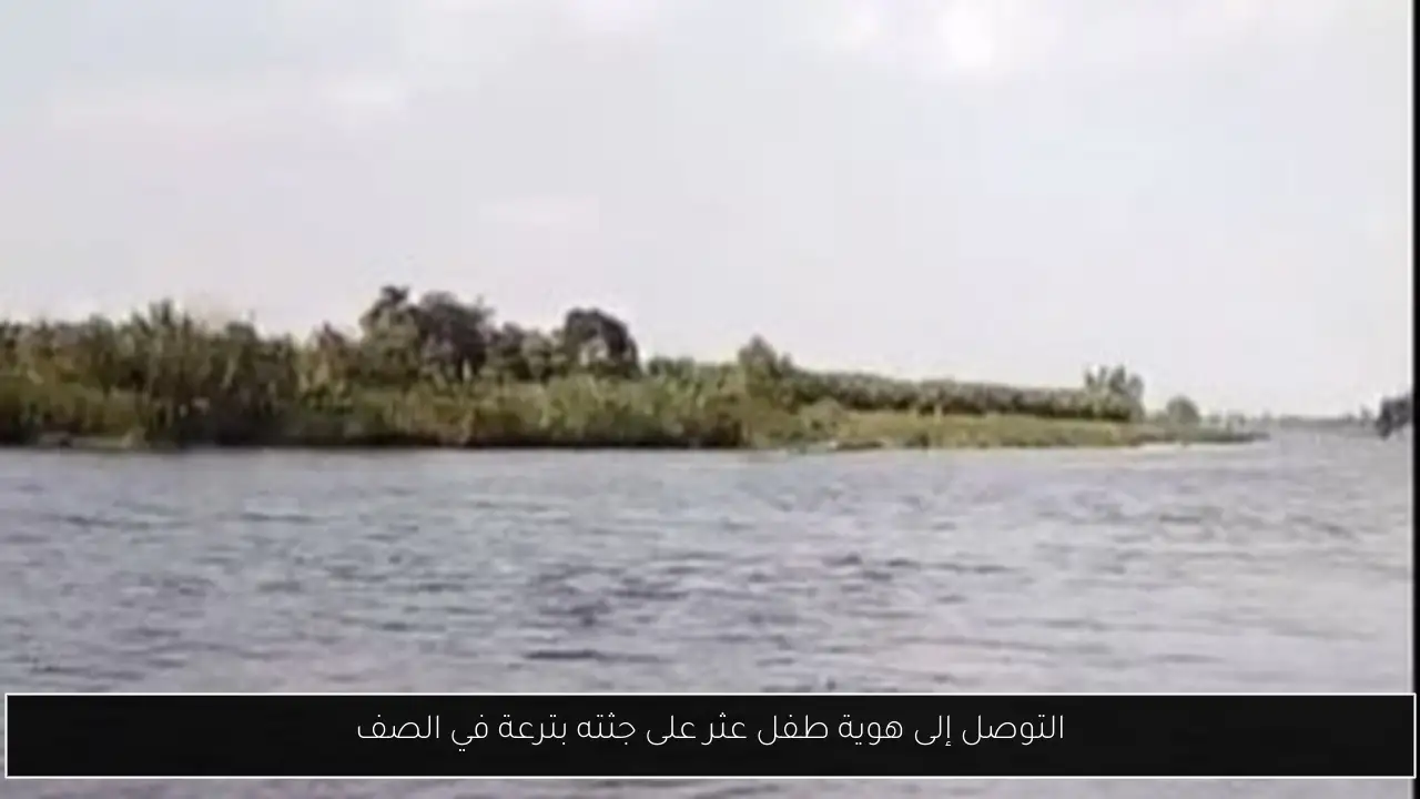 التوصل إلى هوية طفل عثر على جثته بترعة في الصف