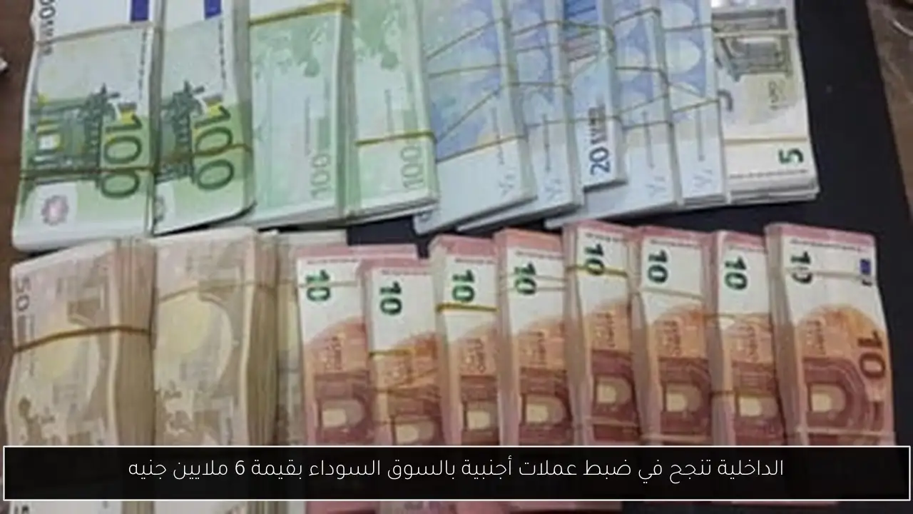 الداخلية تنجح في ضبط عملات أجنبية بالسوق السوداء بقيمة 6 ملايين جنيه
