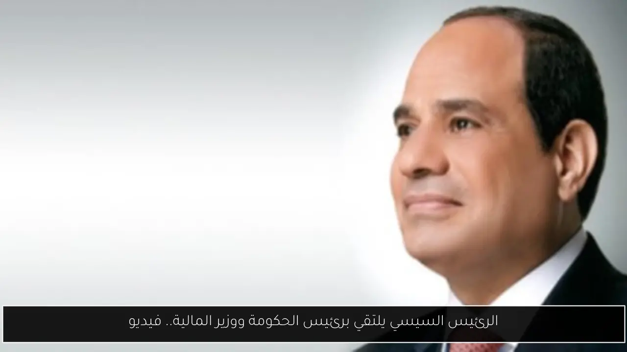 الرئيس السيسي يلتقي برئيس الحكومة ووزير المالية.. فيديو