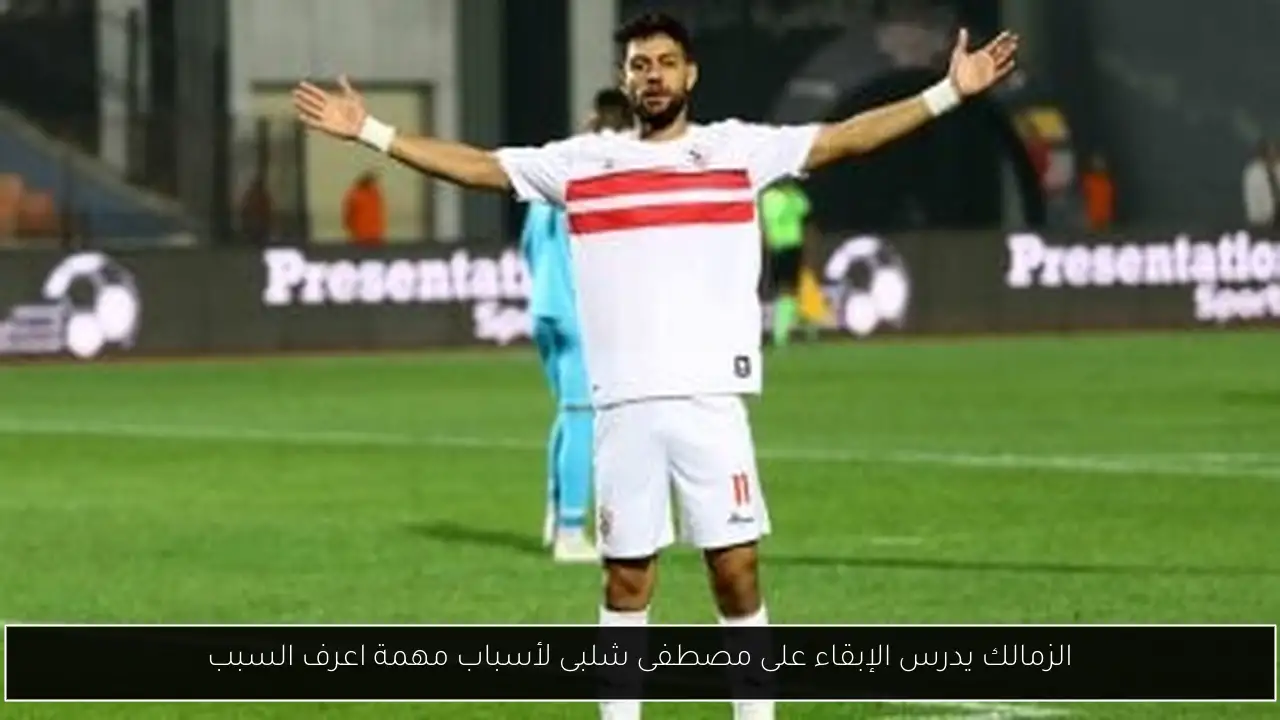 الزمالك يدرس الإبقاء على مصطفى شلبى لأسباب مهمة اعرف السبب