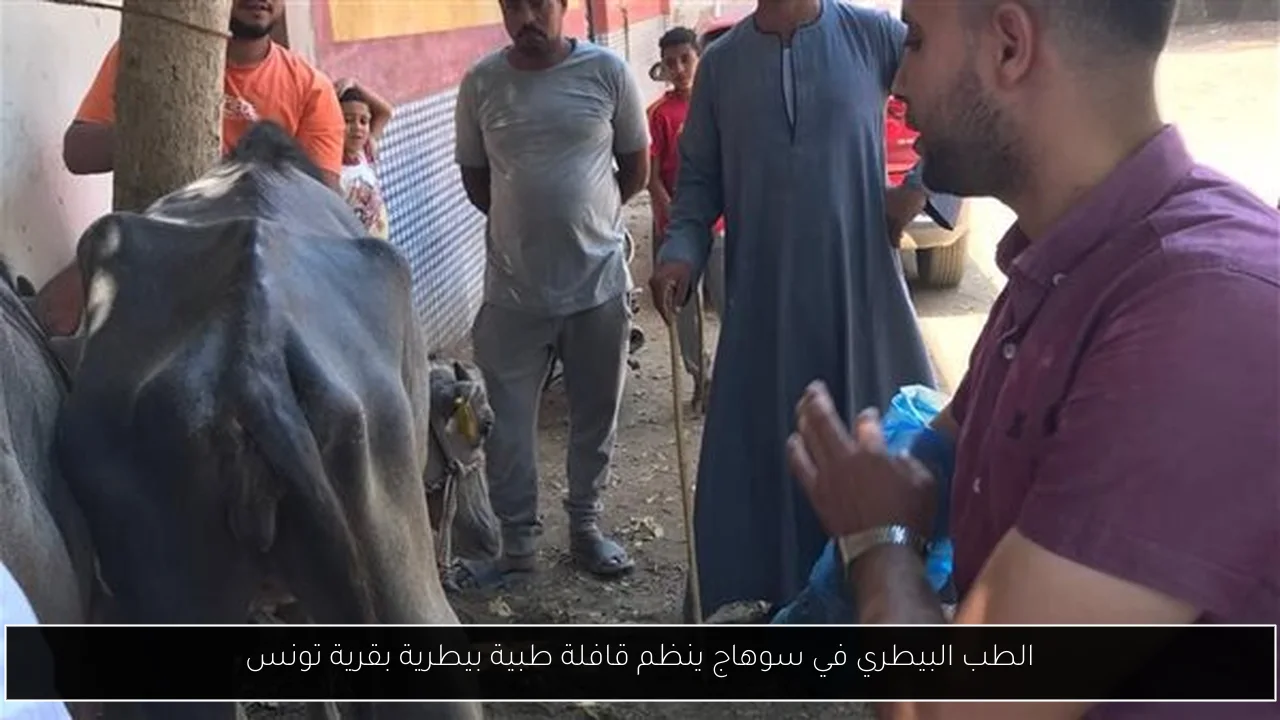 الطب البيطري في سوهاج ينظم قافلة طبية بيطرية بقرية تونس