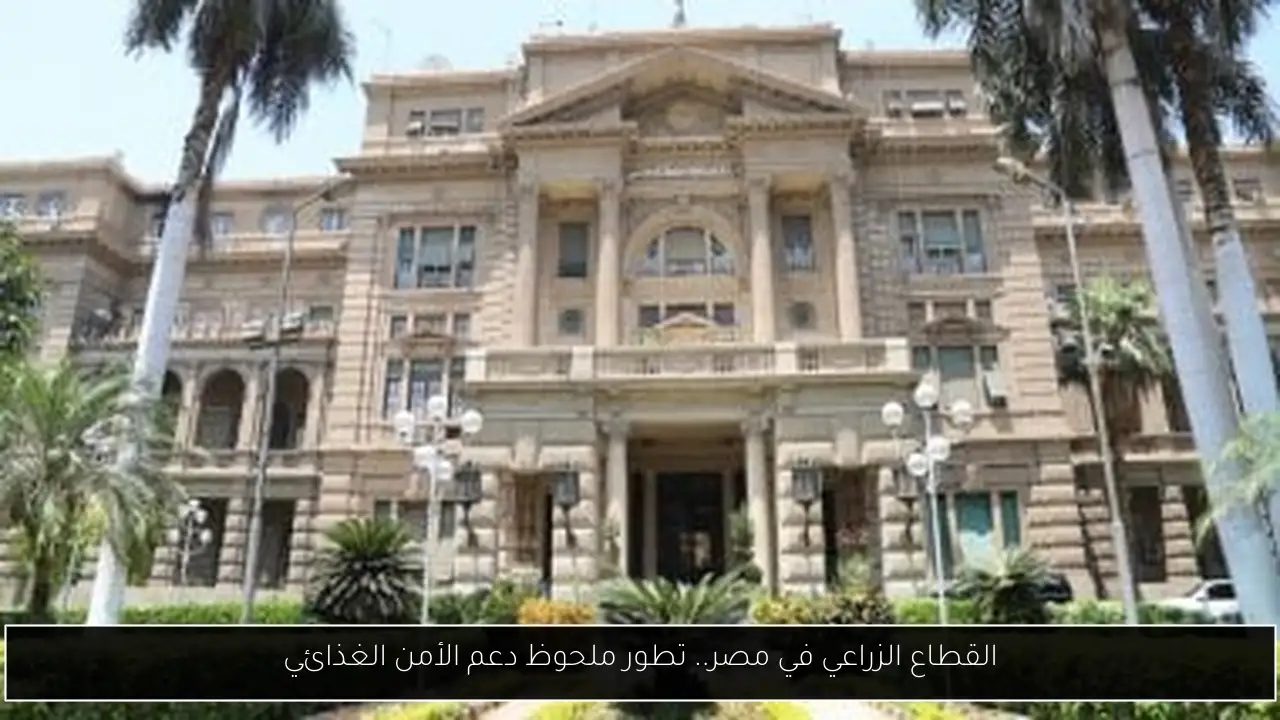 القطاع الزراعي في مصر.. تطور ملحوظ دعم الأمن الغذائي