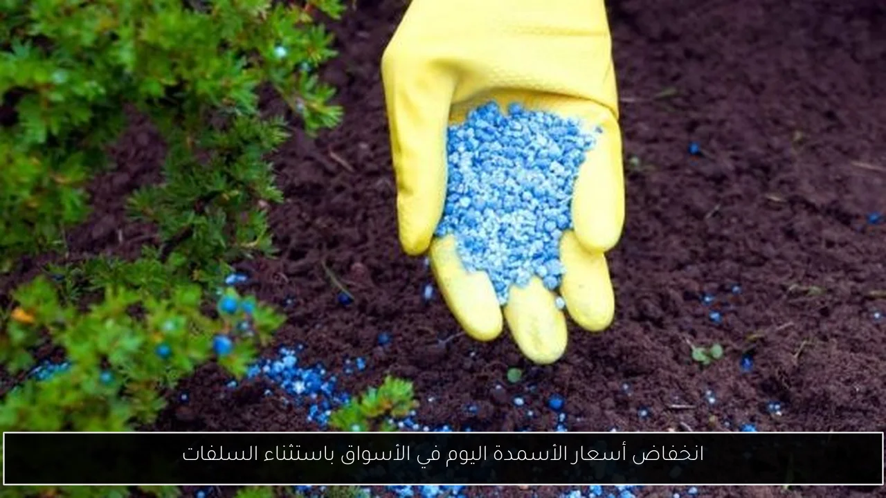 انخفاض أسعار الأسمدة اليوم في الأسواق باستثناء السلفات
