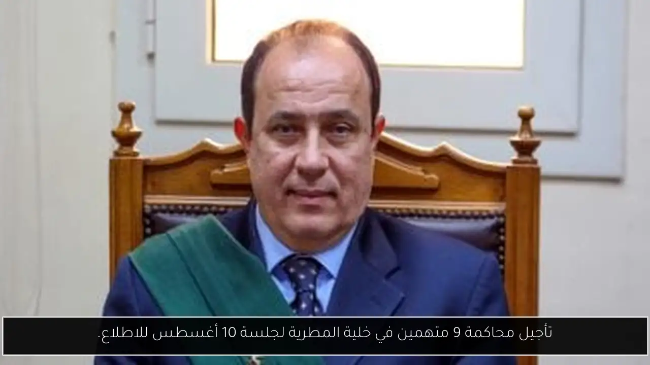تأجيل محاكمة 9 متهمين في خلية المطرية لجلسة 10 أغسطس للاطلاع.