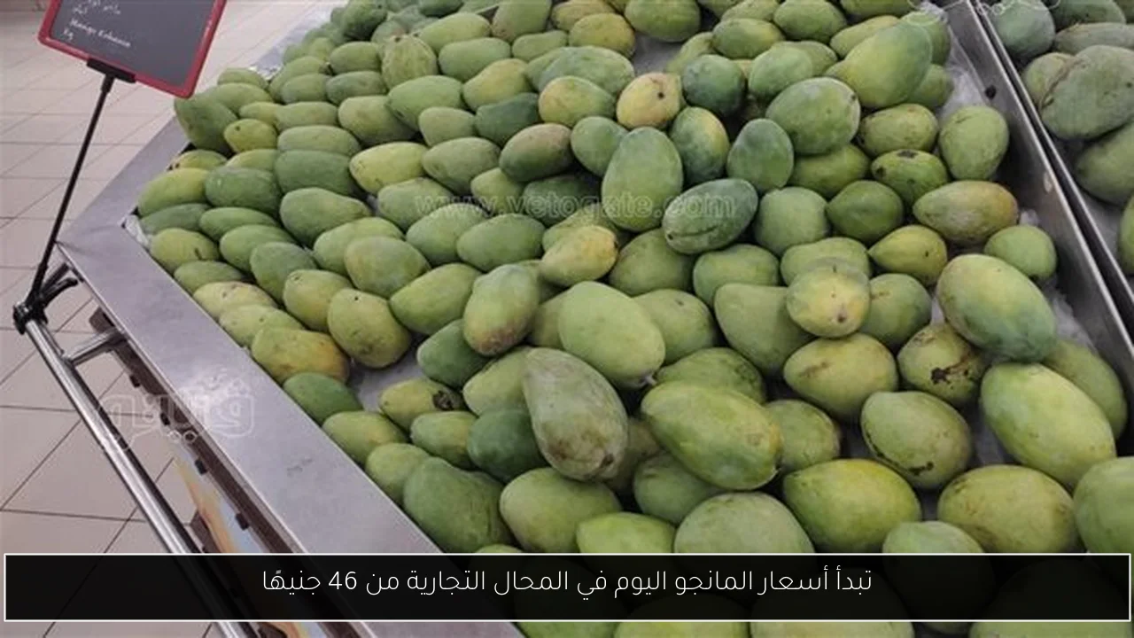 تبدأ أسعار المانجو اليوم في المحال التجارية من 46 جنيهًا