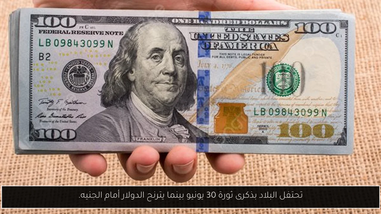 تحتفل البلاد بذكرى ثورة 30 يونيو بينما يترنح الدولار أمام الجنيه.