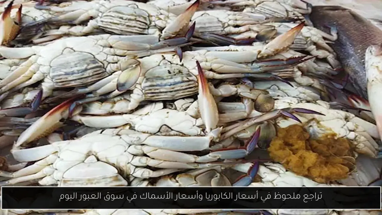 تراجع ملحوظ في أسعار الكابوريا وأسعار الأسماك في سوق العبور اليوم