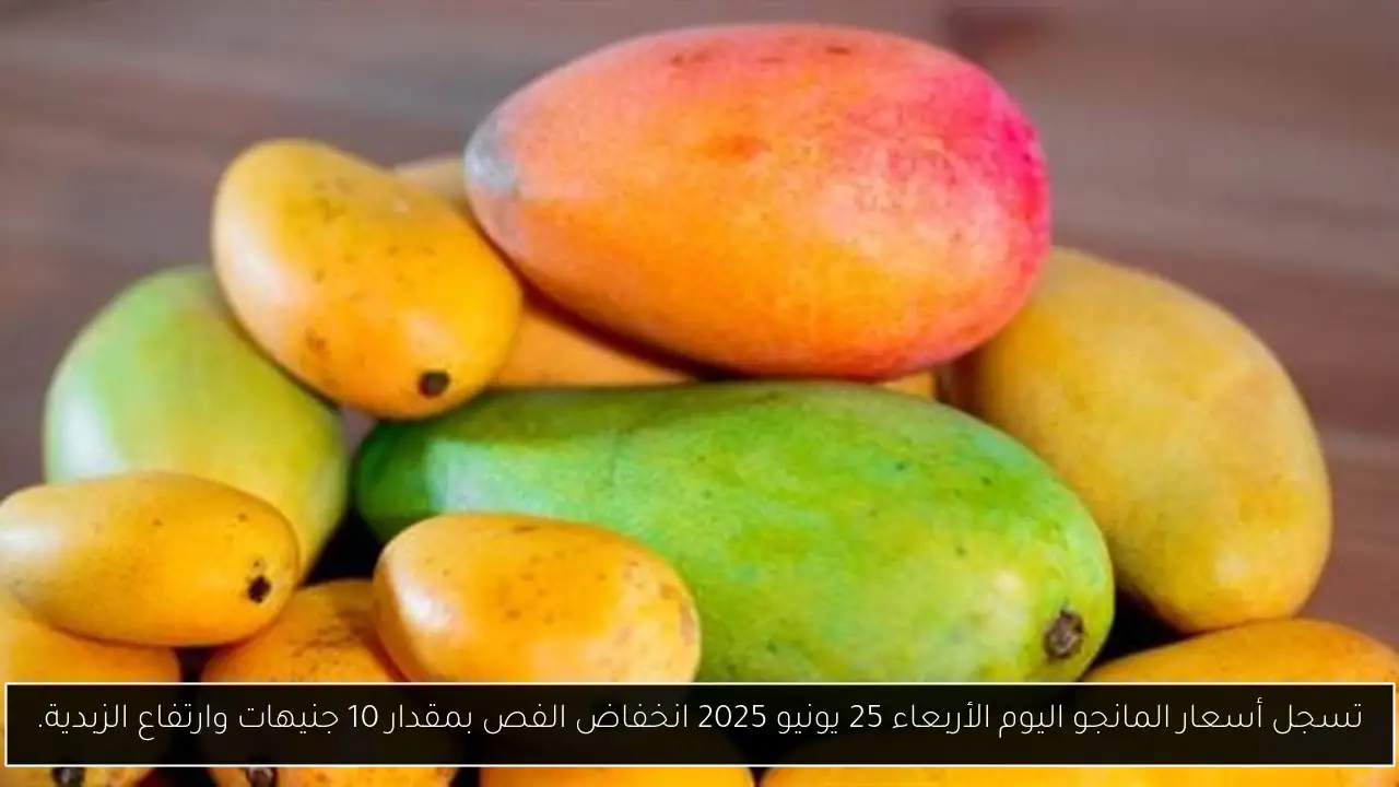 تسجل أسعار المانجو اليوم الأربعاء 25 يونيو 2025 انخفاض الفص بمقدار 10 جنيهات وارتفاع الزبدية.