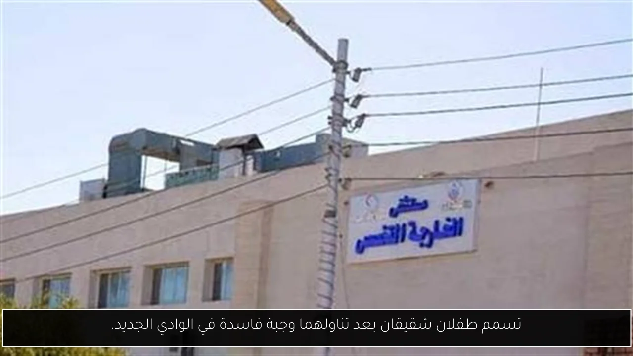 تسمم طفلان شقيقان بعد تناولهما وجبة فاسدة في الوادي الجديد.