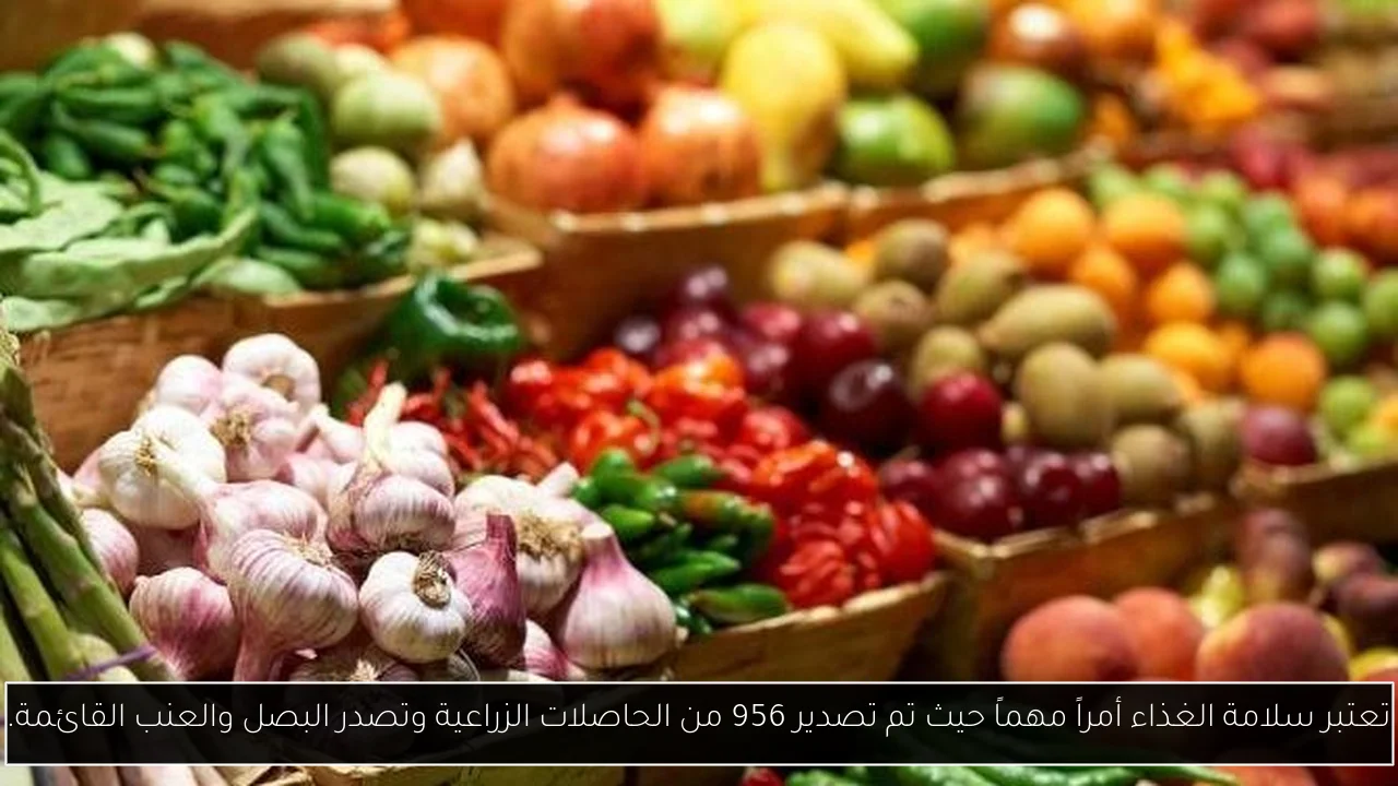 تعتبر سلامة الغذاء أمراً مهماً حيث تم تصدير 956 من الحاصلات الزراعية وتصدر البصل والعنب القائمة.