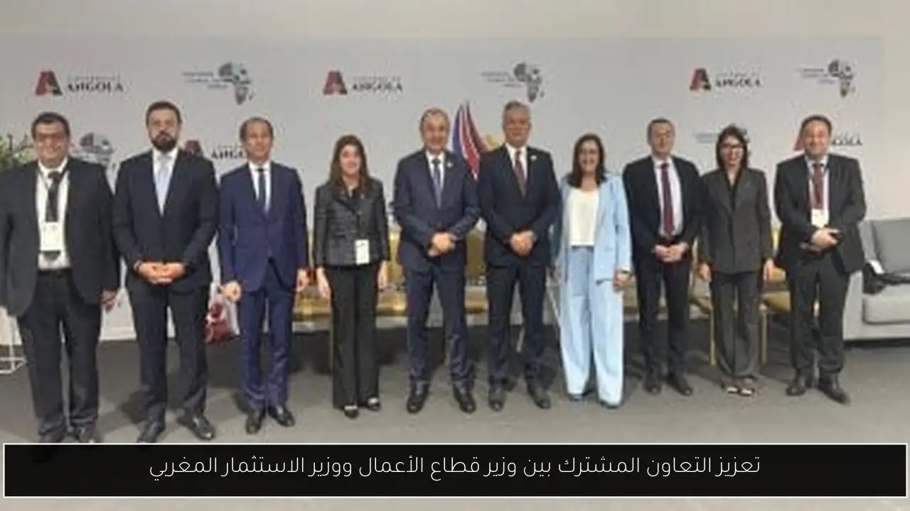 تعزيز التعاون المشترك بين وزير قطاع الأعمال ووزير الاستثمار المغربي