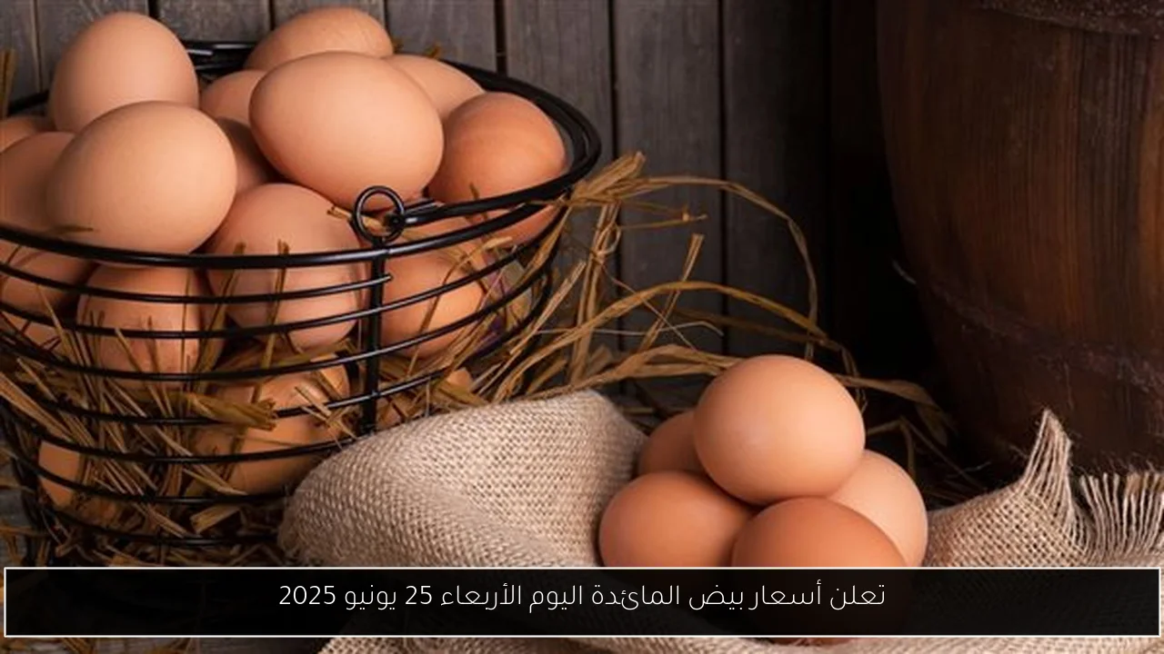 تعلن أسعار بيض المائدة اليوم الأربعاء 25 يونيو 2025