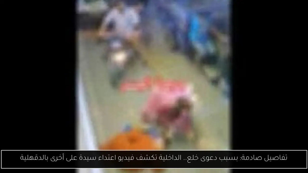 تفاصيل صادمة: بسبب دعوى خلع.. الداخلية تكشف فيديو اعتداء سيدة على أخرى بالدقهلية