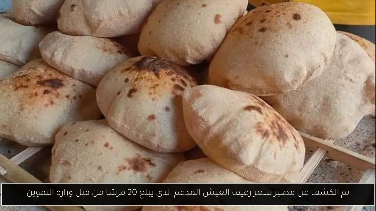 تم الكشف عن مصير سعر رغيف العيش المدعم الذي يبلغ 20 قرشا من قبل وزارة التموين