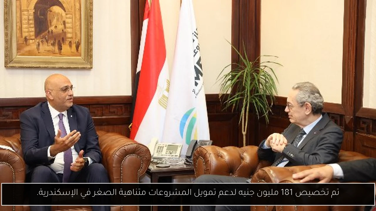 تم تخصيص 181 مليون جنيه لدعم تمويل المشروعات متناهية الصغر في الإسكندرية.