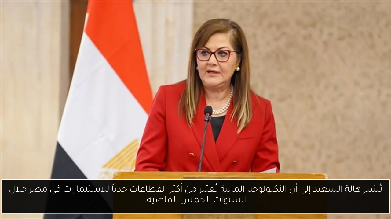 تُشير هالة السعيد إلى أن التكنولوجيا المالية تُعتبر من أكثر القطاعات جذباً للاستثمارات في مصر خلال السنوات الخمس الماضية.