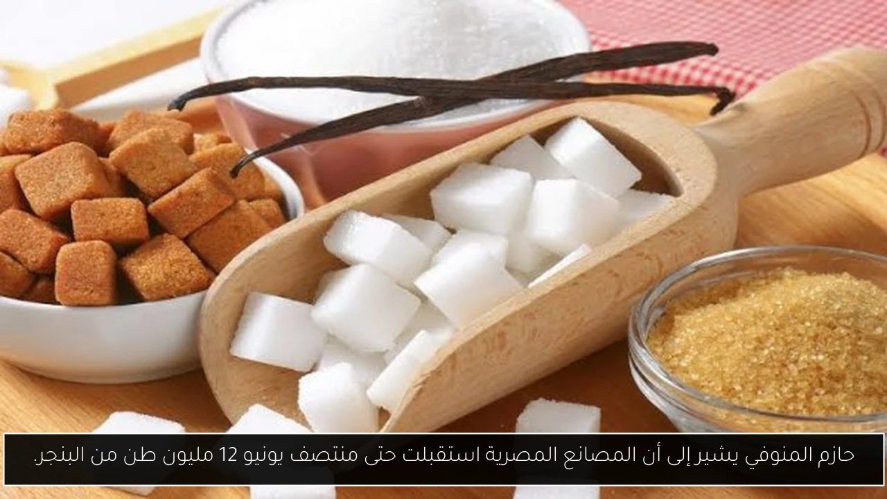 حازم المنوفي يشير إلى أن المصانع المصرية استقبلت حتى منتصف يونيو 12 مليون طن من البنجر.