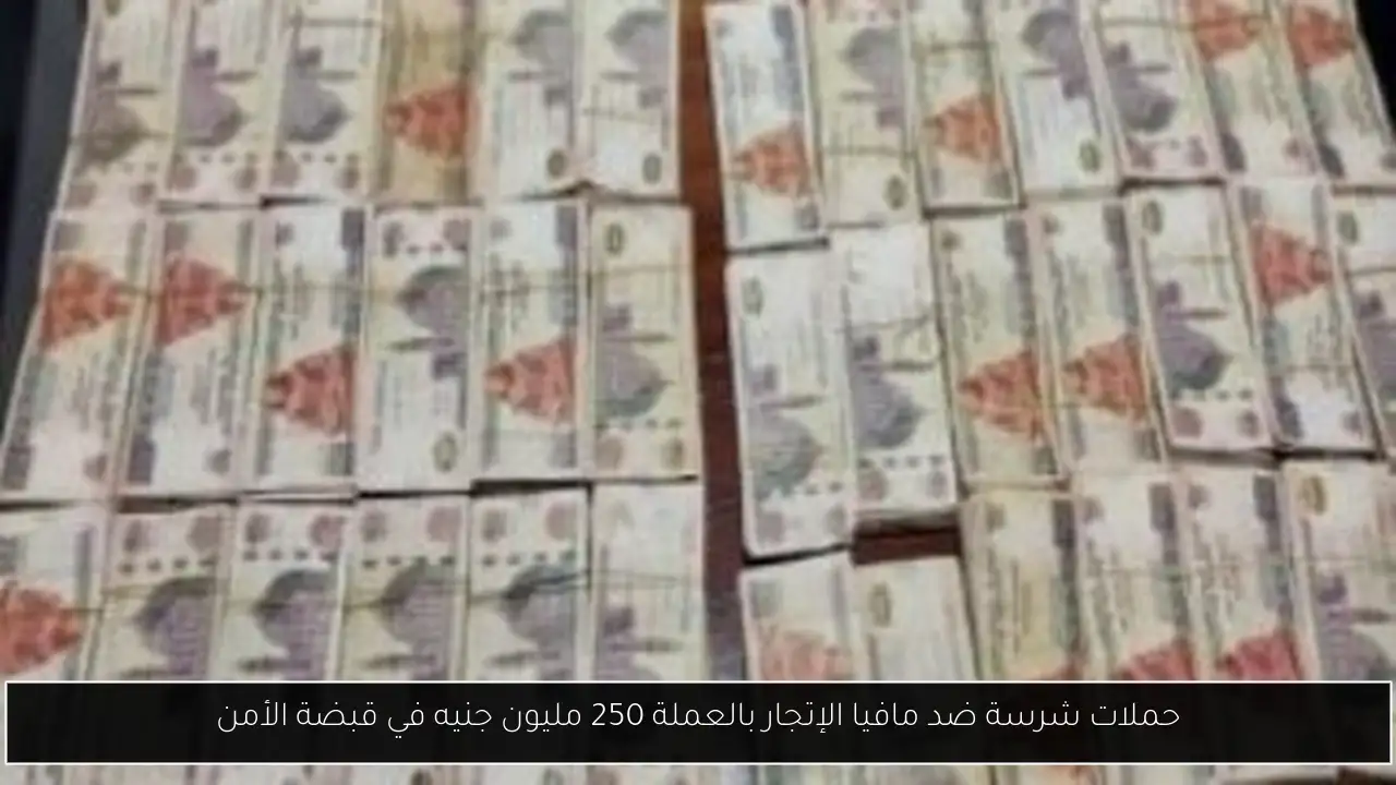 حملات شرسة ضد مافيا الإتجار بالعملة 250 مليون جنيه في قبضة الأمن