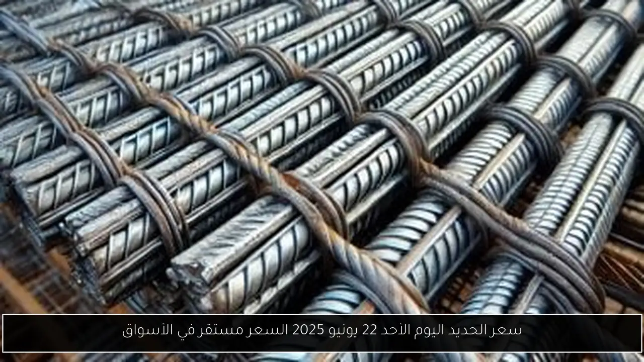 سعر الحديد اليوم الأحد 22 يونيو 2025 السعر مستقر في الأسواق