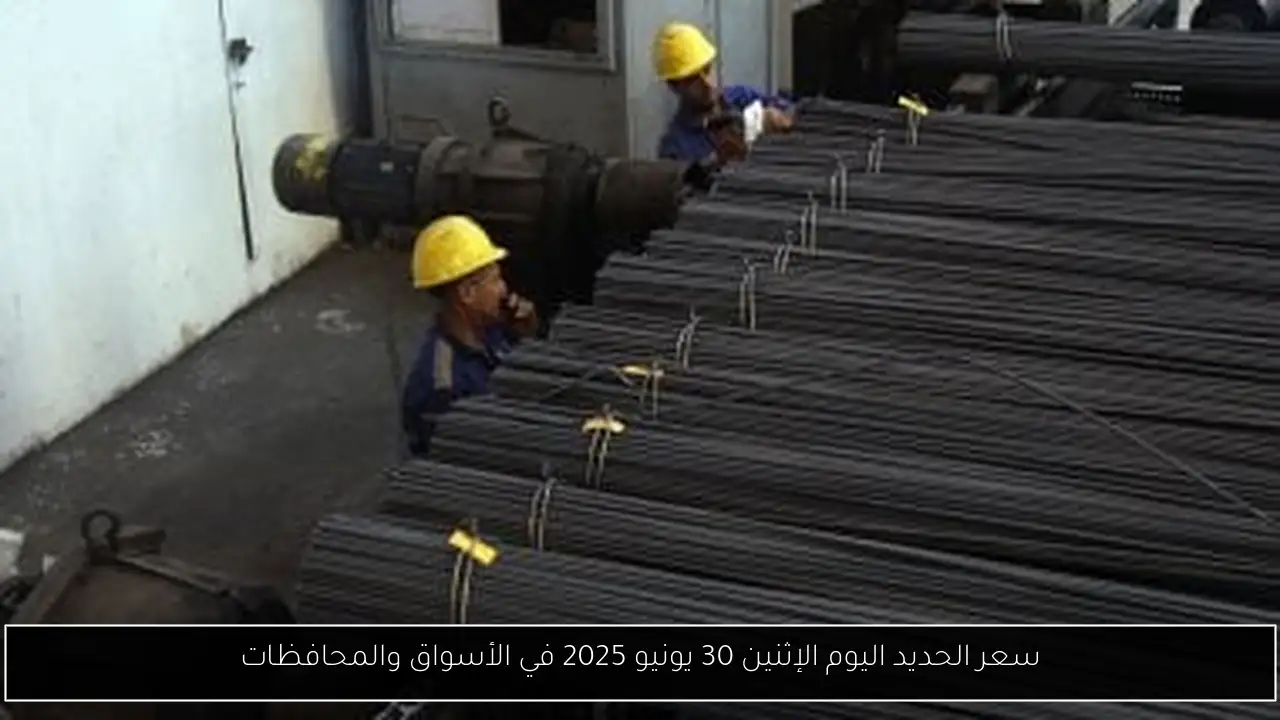 سعر الحديد اليوم الإثنين 30 يونيو 2025 في الأسواق والمحافظات