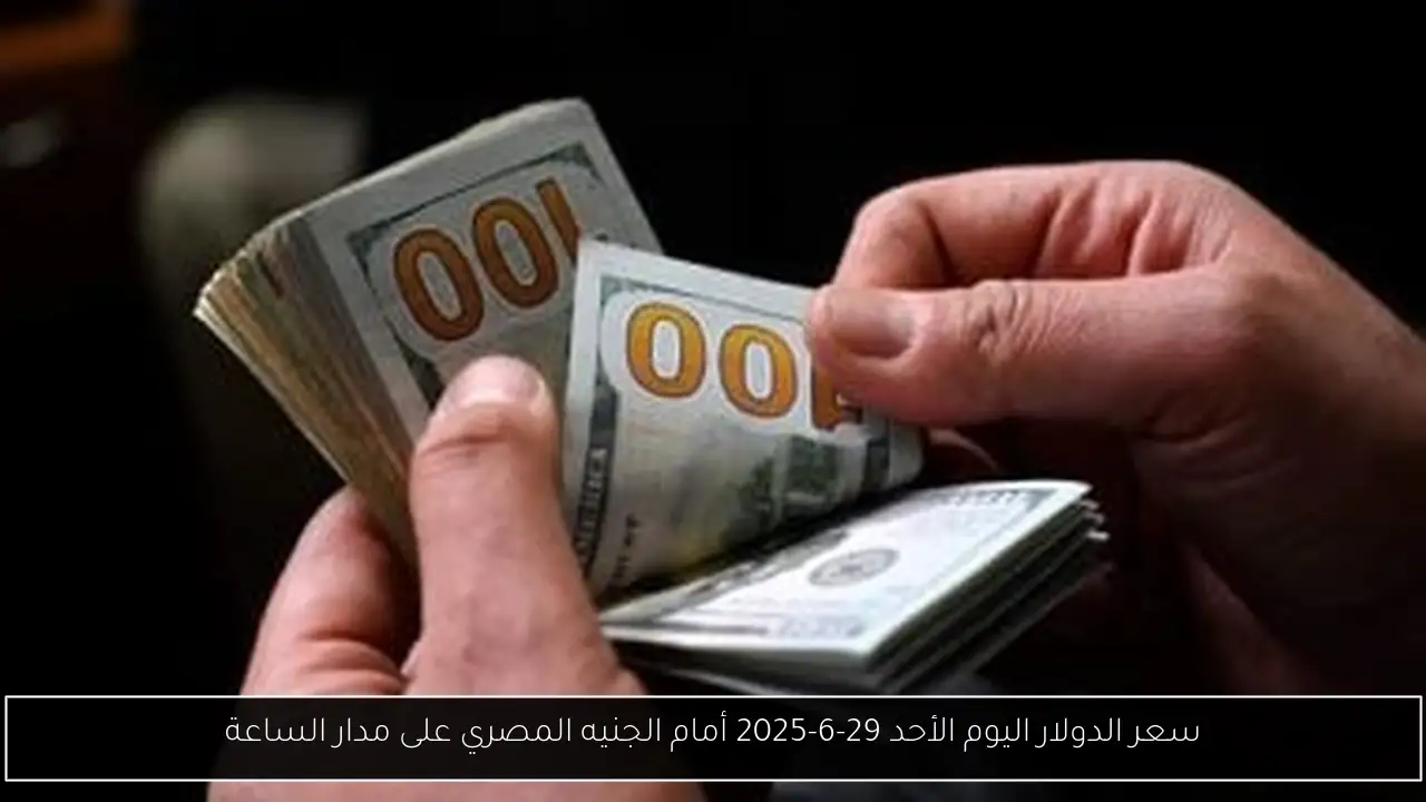 سعر الدولار اليوم الأحد 29-6-2025 أمام الجنيه المصري على مدار الساعة