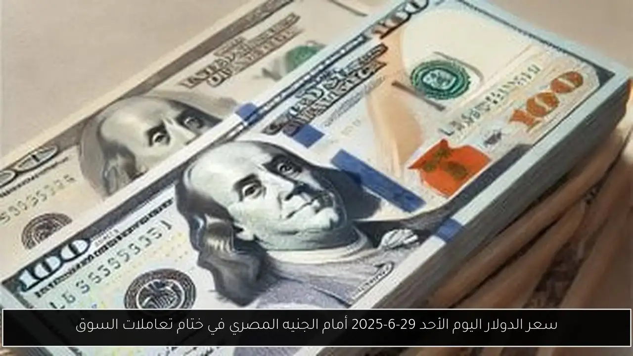 سعر الدولار اليوم الأحد 29-6-2025 أمام الجنيه المصري في ختام تعاملات السوق