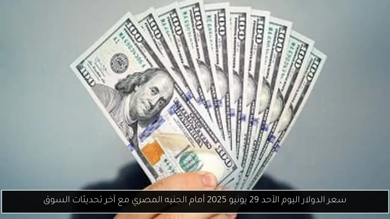 سعر الدولار اليوم الأحد 29 يونيو 2025 أمام الجنيه المصري مع آخر تحديثات السوق