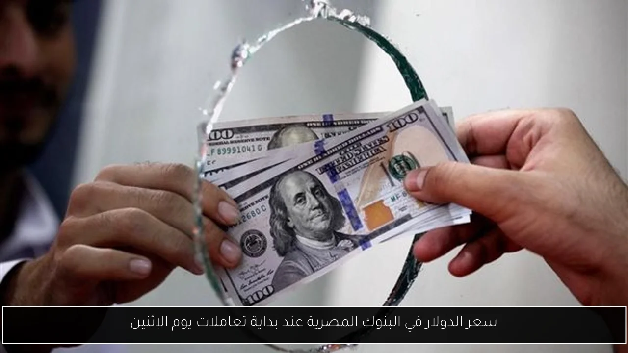 سعر الدولار في البنوك المصرية عند بداية تعاملات يوم الإثنين