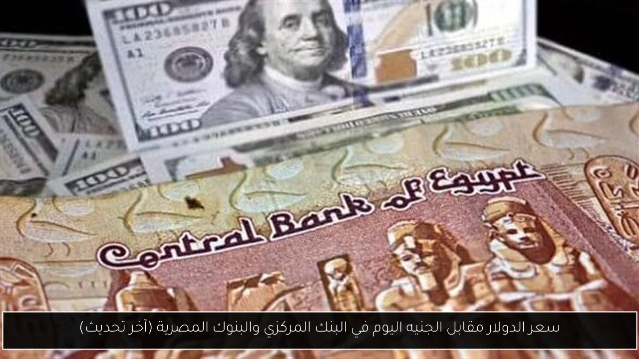 سعر الدولار مقابل الجنيه اليوم في البنك المركزي والبنوك المصرية (آخر تحديث)