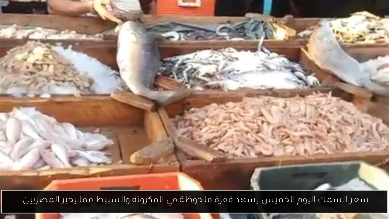 سعر السمك اليوم الخميس يشهد قفزة ملحوظة في المكرونة والسبيط مما يحير المصريين.