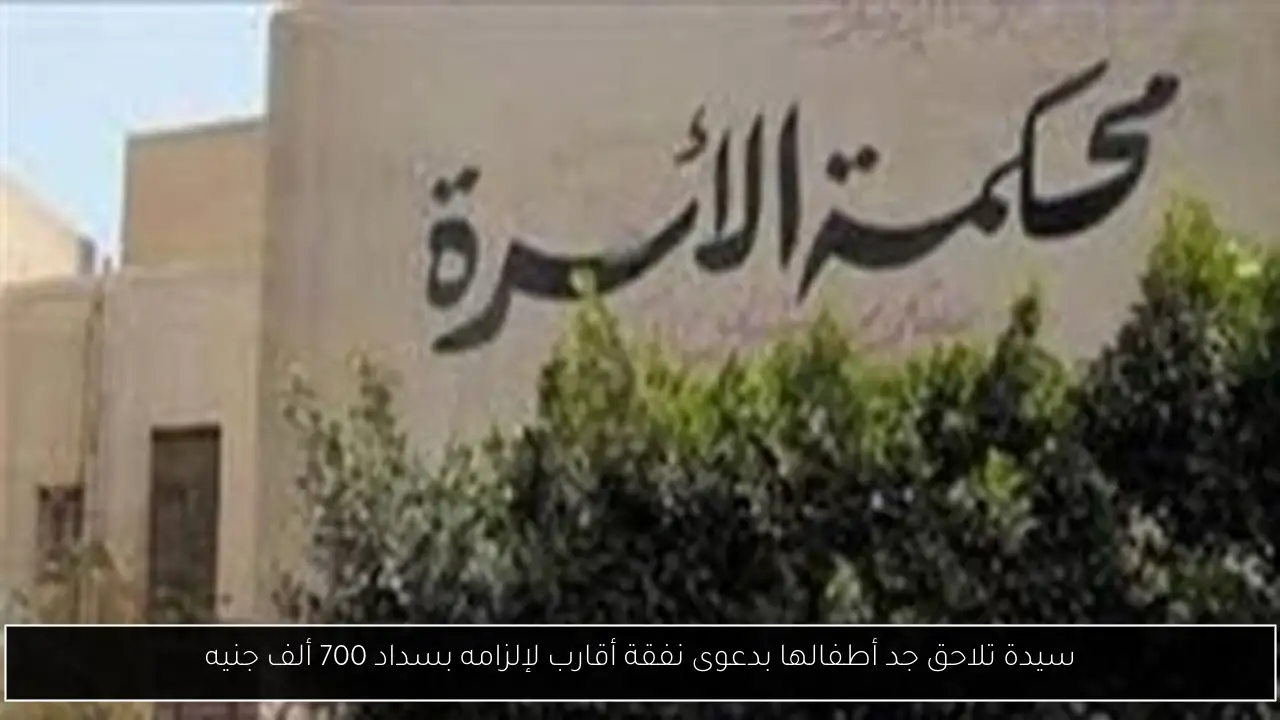 سيدة تلاحق جد أطفالها بدعوى نفقة أقارب لإلزامه بسداد 700 ألف جنيه