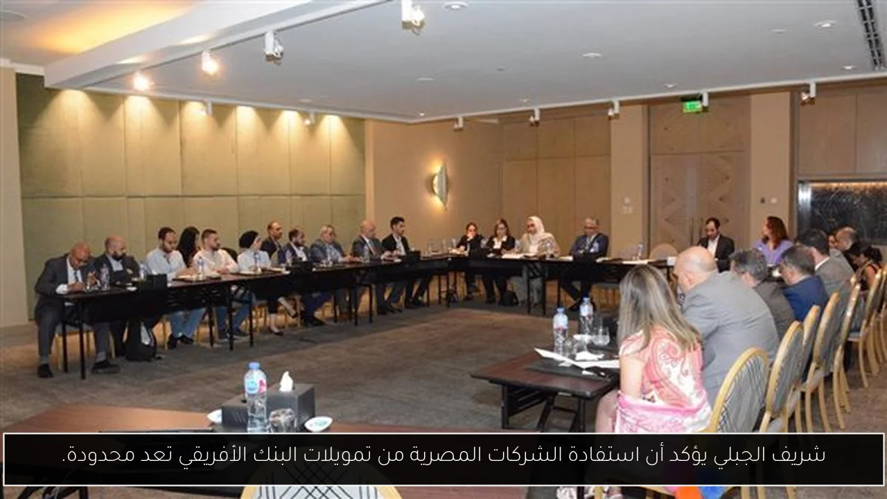شريف الجبلي يؤكد أن استفادة الشركات المصرية من تمويلات البنك الأفريقي تعد محدودة.
