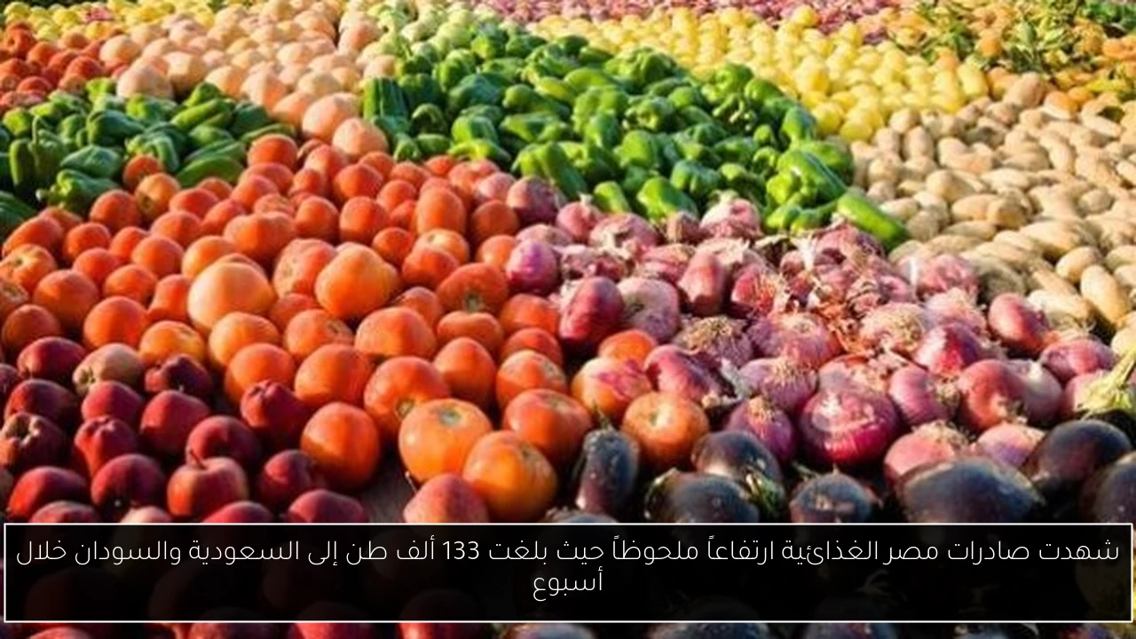شهدت صادرات مصر الغذائية ارتفاعاً ملحوظاً حيث بلغت 133 ألف طن إلى السعودية والسودان خلال أسبوع