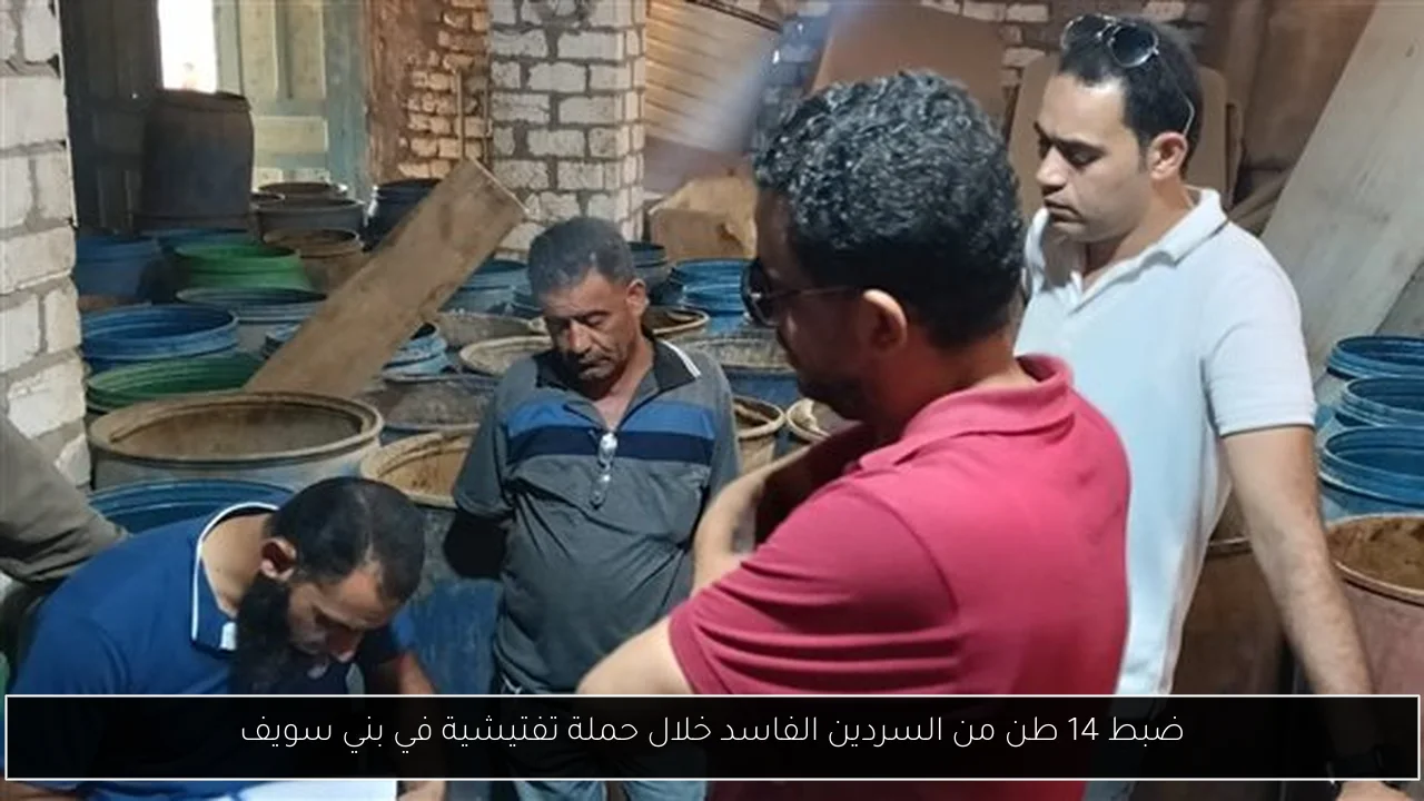 ضبط 14 طن من السردين الفاسد خلال حملة تفتيشية في بني سويف