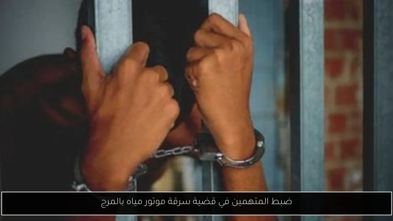 ضبط المتهمين في قضية سرقة موتور مياه بالمرج