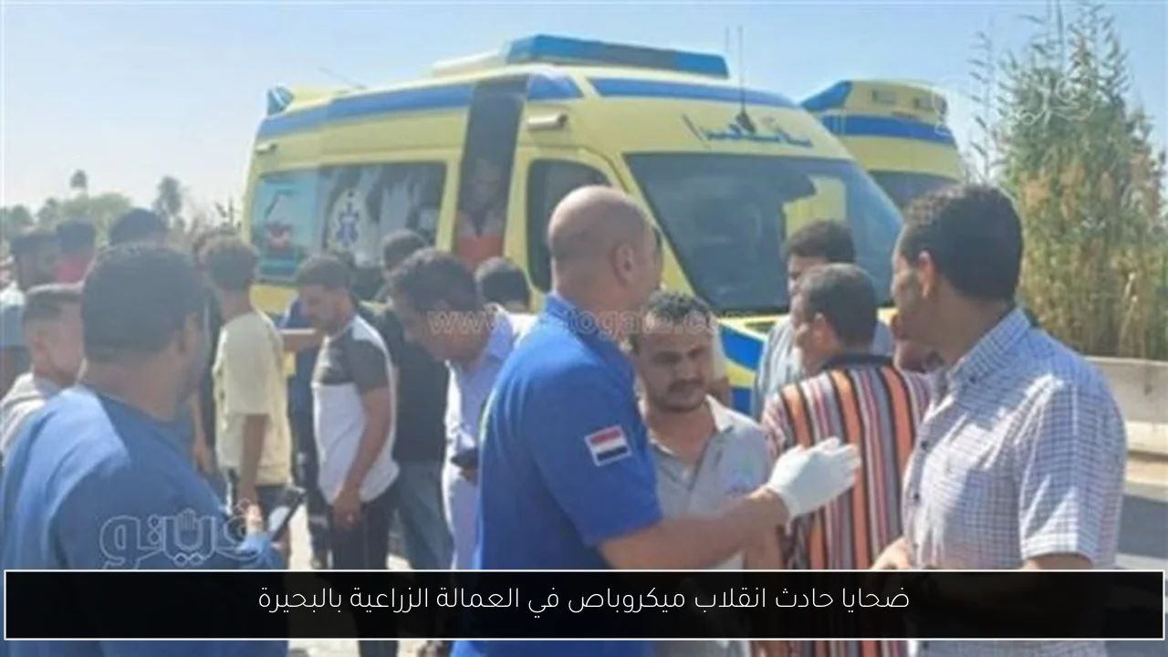 ضحايا حادث انقلاب ميكروباص في العمالة الزراعية بالبحيرة