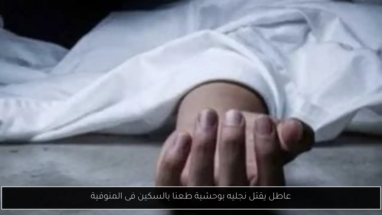 عاطل يقتل نجليه بوحشية طعنا بالسكين فى المنوفية