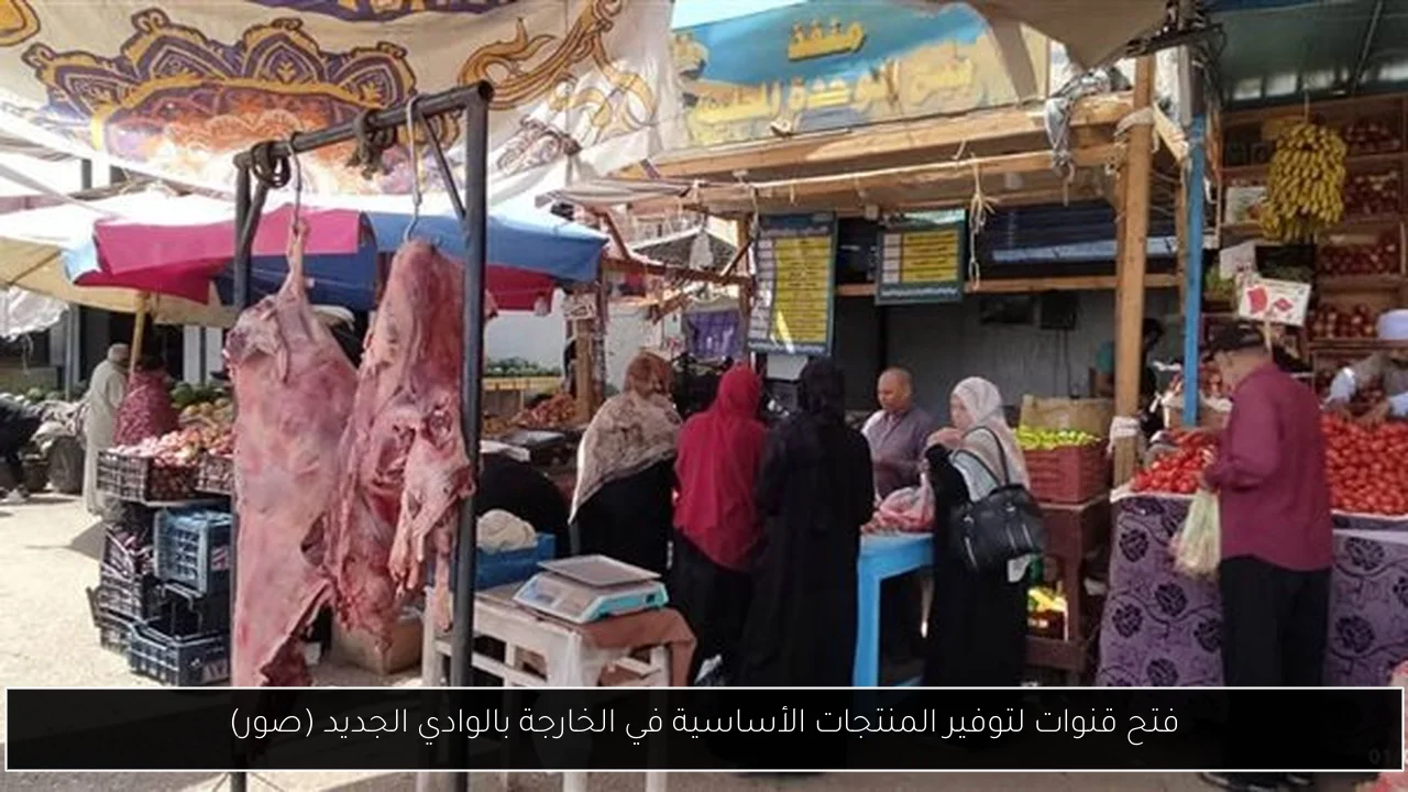 فتح قنوات لتوفير المنتجات الأساسية في الخارجة بالوادي الجديد (صور)