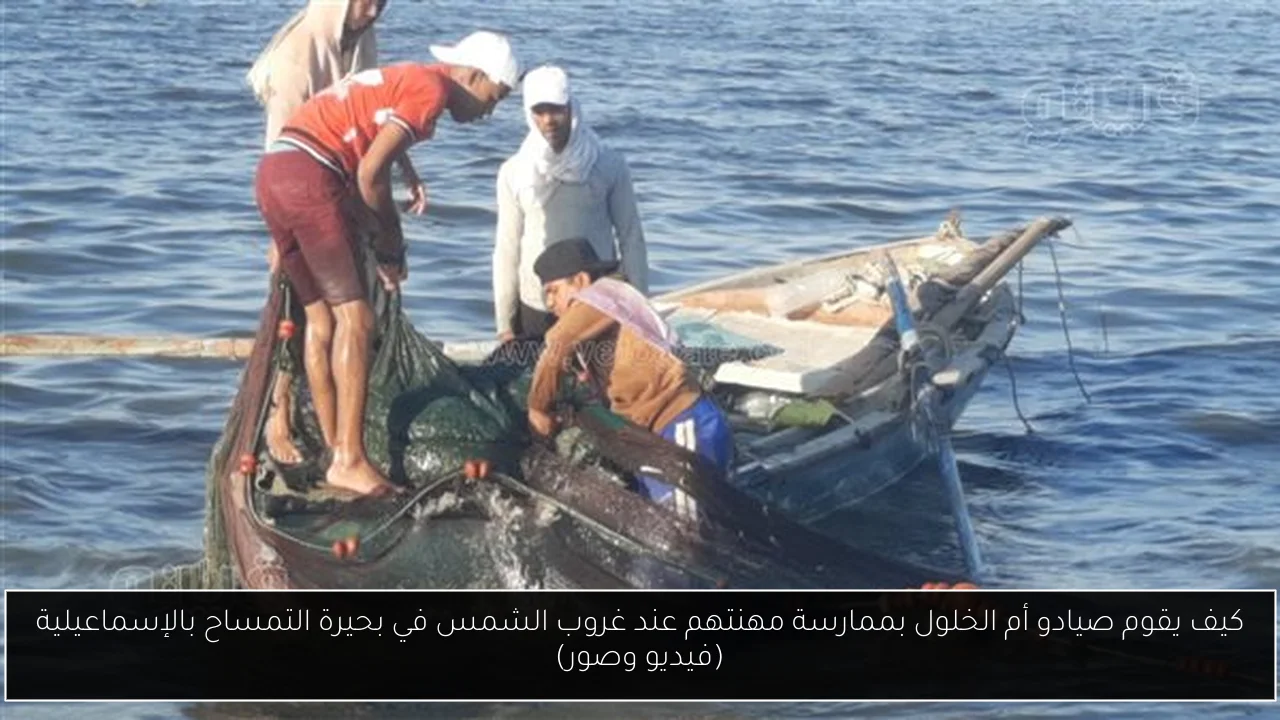 كيف يقوم صيادو أم الخلول بممارسة مهنتهم عند غروب الشمس في بحيرة التمساح بالإسماعيلية (فيديو وصور)