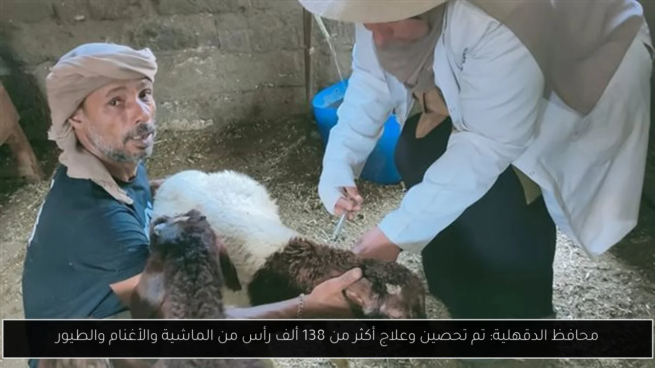 محافظ الدقهلية: تم تحصين وعلاج أكثر من 138 ألف رأس من الماشية والأغنام والطيور