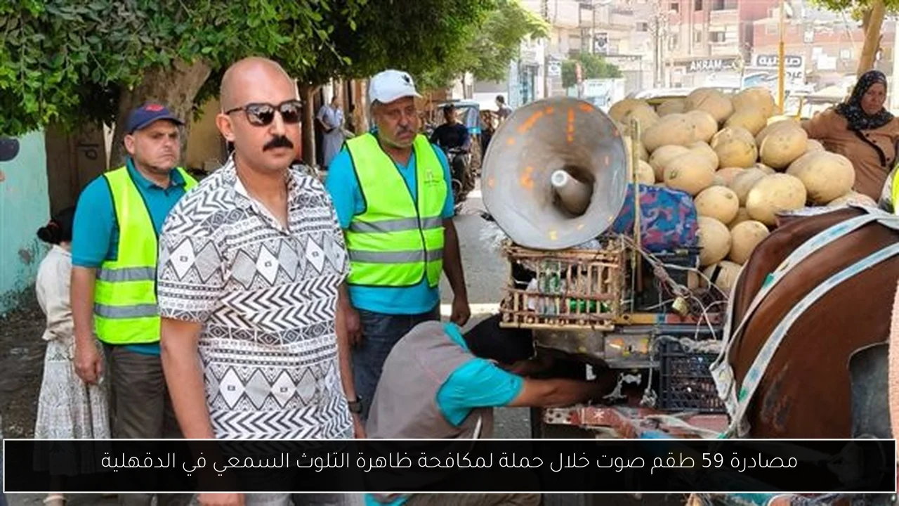 مصادرة 59 طقم صوت خلال حملة لمكافحة ظاهرة التلوث السمعي في الدقهلية