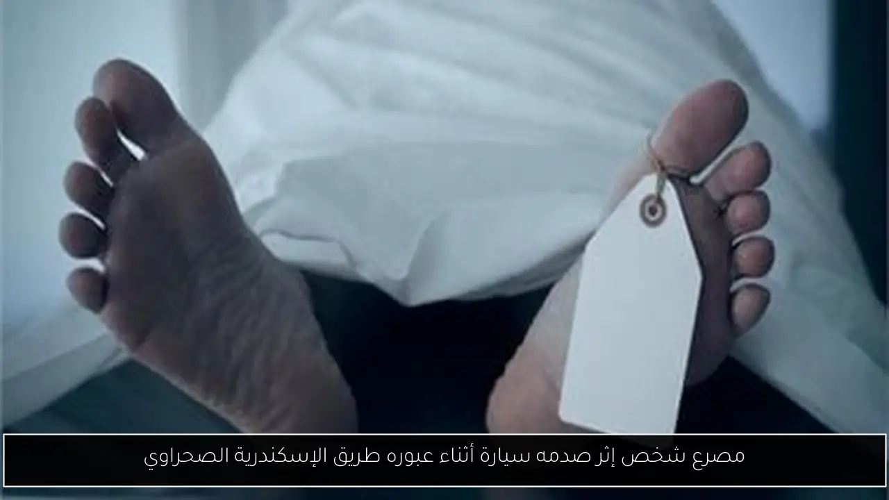 مصرع شخص إثر صدمه سيارة أثناء عبوره طريق الإسكندرية الصحراوي