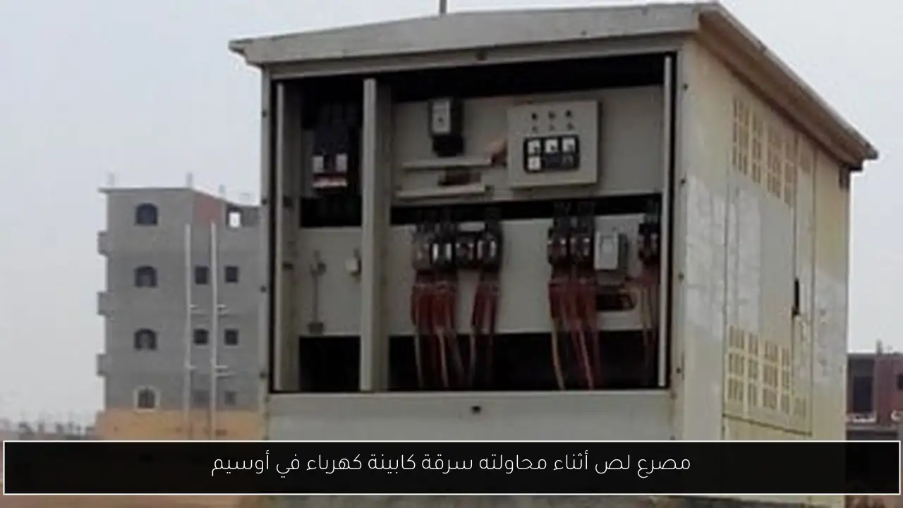 مصرع لص أثناء محاولته سرقة كابينة كهرباء في أوسيم