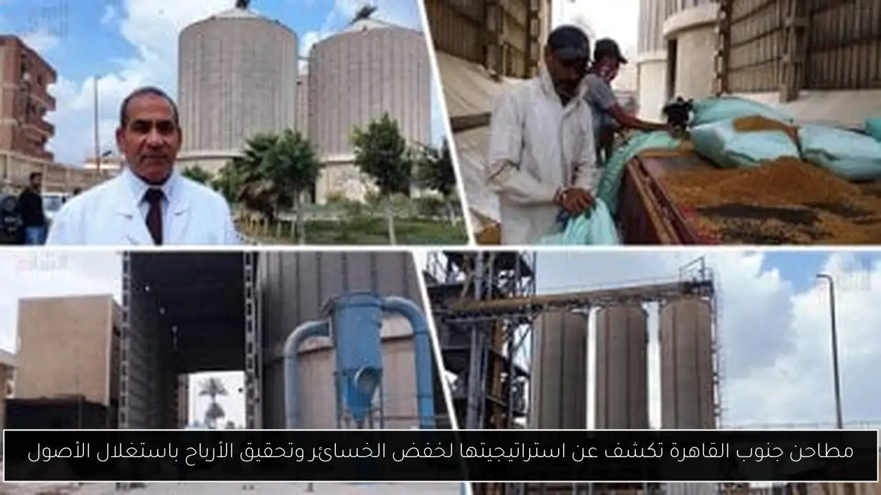 مطاحن جنوب القاهرة تكشف عن استراتيجيتها لخفض الخسائر وتحقيق الأرباح باستغلال الأصول