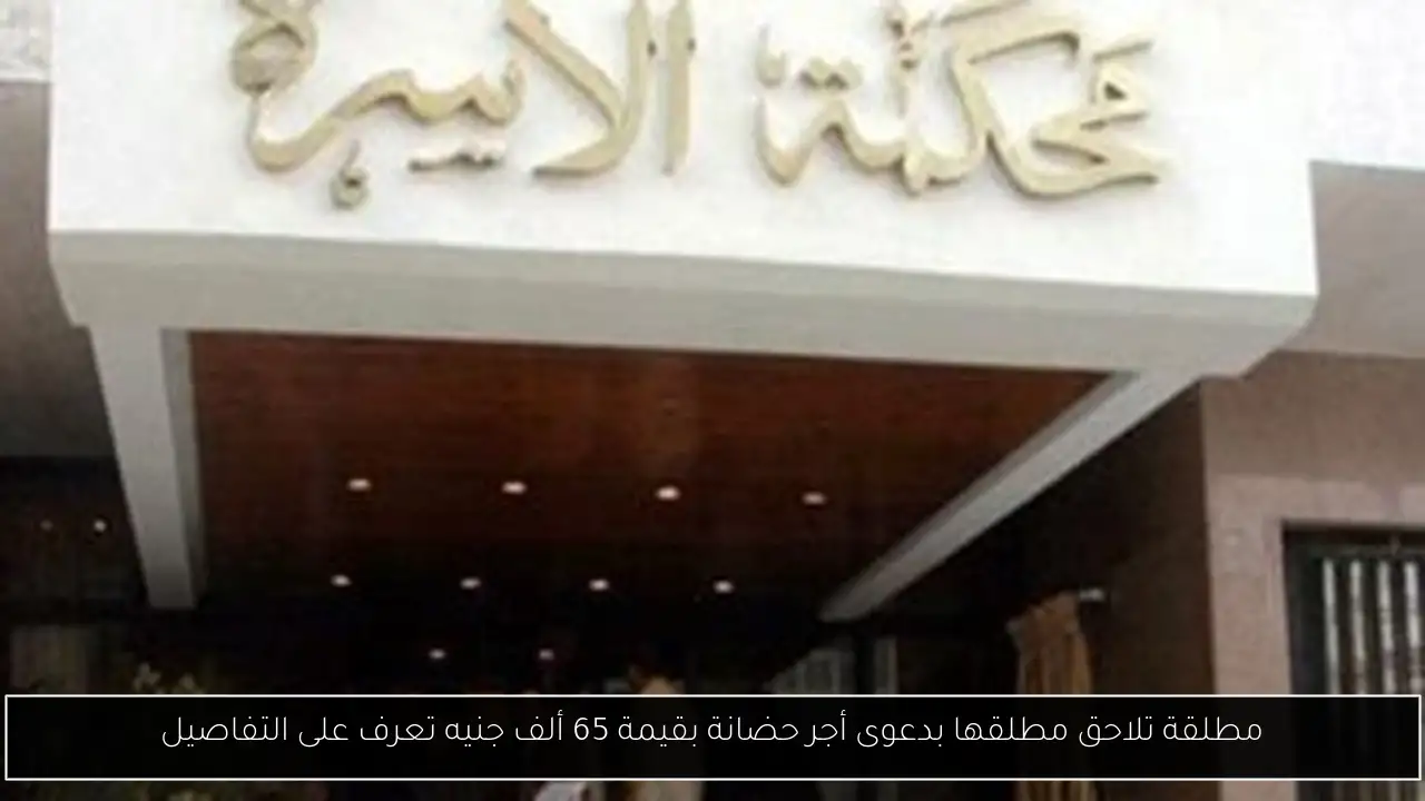 مطلقة تلاحق مطلقها بدعوى أجر حضانة بقيمة 65 ألف جنيه تعرف على التفاصيل