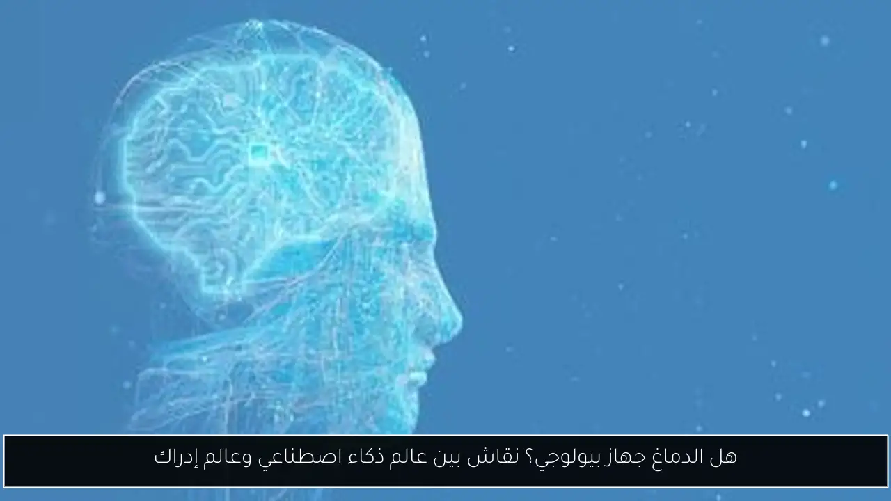 هل الدماغ جهاز بيولوجي؟ نقاش بين عالم ذكاء اصطناعي وعالم إدراك