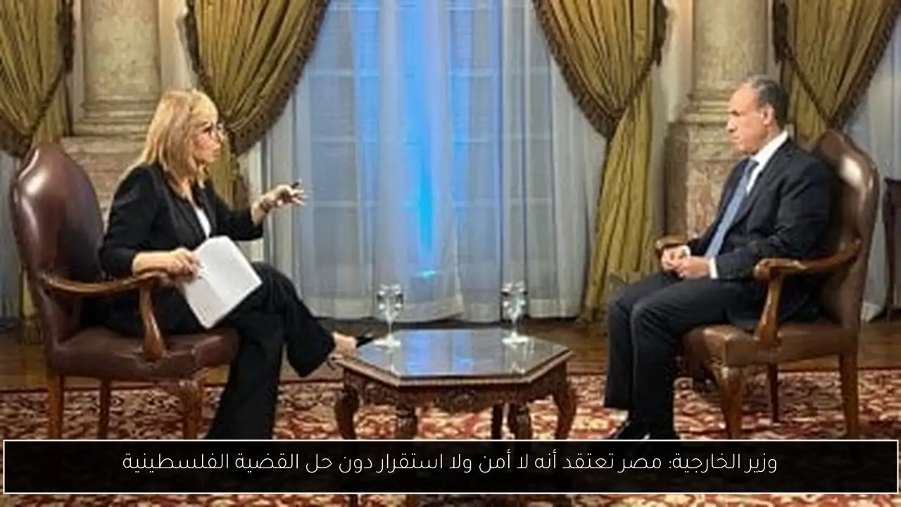 وزير الخارجية: مصر تعتقد أنه لا أمن ولا استقرار دون حل القضية الفلسطينية